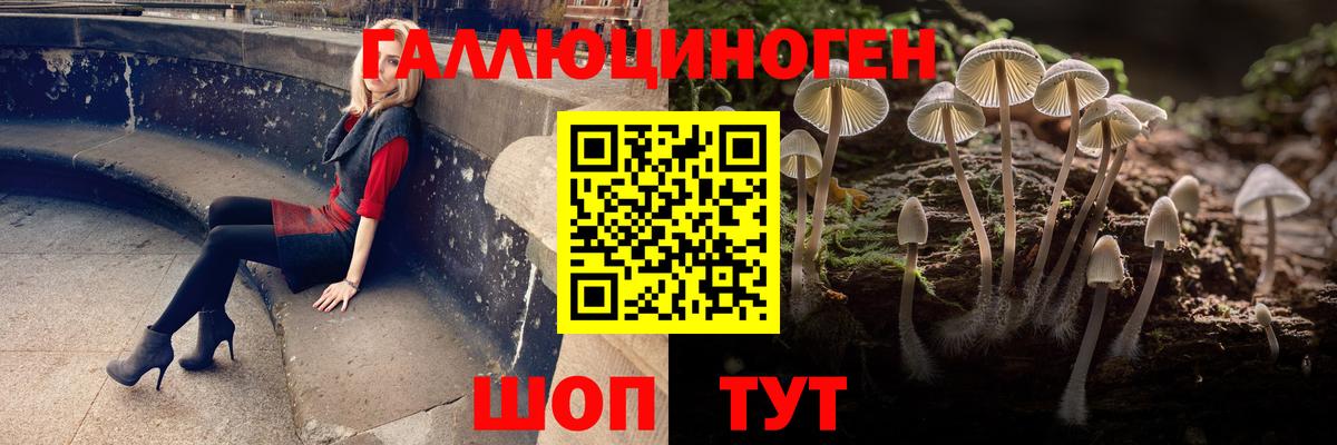 Урай  Псилоцибиновые грибы MAGIC MUSHROOMS  Вход с VPN  Псилоцибиновые грибы Psilocybine cubensis 
